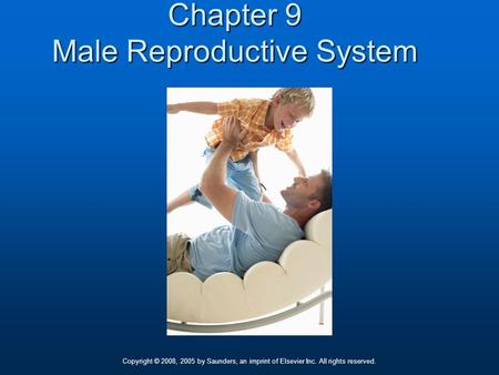 Learning Objectives Name, locate, and describe the functions of the organs of the male reproductive system. Define some abnormal conditions and infections.