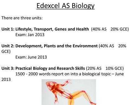 Edexcel AS Biology There are three units: Unit 1: Lifestyle, Transport, Genes and Health (40% AS 20% GCE) Exam: Jan 2013 Unit 2: Development, Plants and.