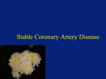 Stable Coronary Artery Disease. Case Presentations.