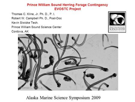 Prince William Sound Herring Forage Contingency EVOSTC Project Thomas C. Kline, Jr. Ph. D., P. I. Robert W. Campbell Ph. D., Post-Doc Kevin Siwicke Tech.