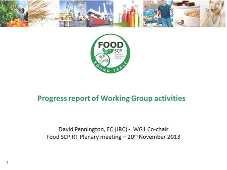 Progress report of Working Group activities 1 David Pennington, EC (JRC) - WG1 Co-chair Food SCP RT Plenary meeting – 20 th November 2013.