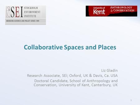 Collaborative Spaces and Places Liz Gladin Research Associate, SEI; Oxford, UK & Davis, Ca. USA Doctoral Candidate, School of Anthropology and Conservation,