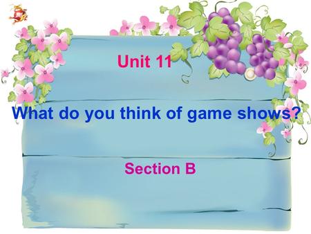 What do you think of game shows? Section B Unit 11.