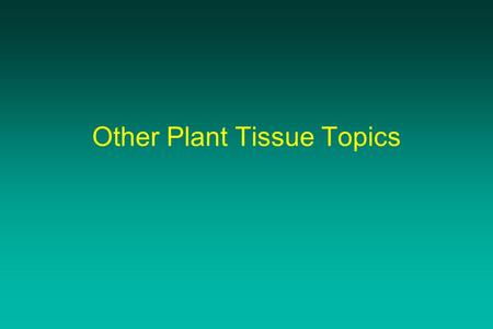 Other Plant Tissue Topics. Somaclonal Variation Somaclonal variation is a general phenomenon of all plant regeneration systems that involve a callus phase.