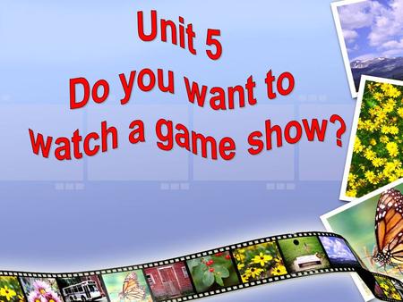 Lead in: Survey: Do you like watching TV? Do you want to watch a game show?