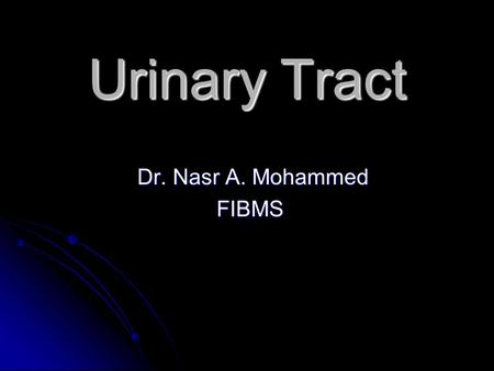 Urinary Tract Dr. Nasr A. Mohammed FIBMS.