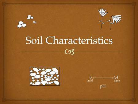 InteractiveScienceTeacher.com Pre-test How many soil characteristics are there? Name them all. Tell me 2 things about each.