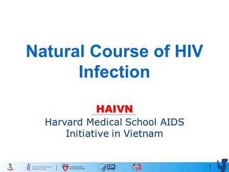 1 Natural Course of HIV Infection HAIVN Harvard Medical School AIDS Initiative in Vietnam.
