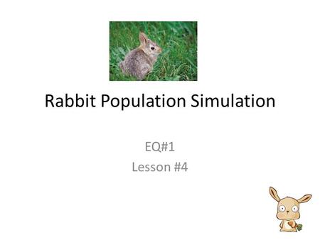 Rabbit Population Simulation