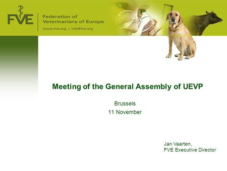 Meeting of the General Assembly of UEVP Brussels 11 November Jan Vaarten, FVE Executive Director.