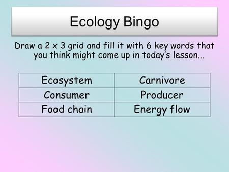 Ecology Bingo Draw a 2 x 3 grid and fill it with 6 key words that you think might come up in today’s lesson... EcosystemCarnivore ConsumerProducer Food.