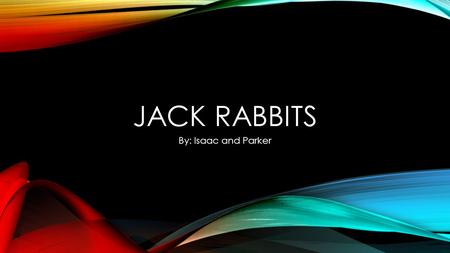 JACK RABBITS By: Isaac and Parker TABLE OF CONTENTS Introductory paragraph : Main idea Paragraph 2 : Anatomy/Physical Description Paragraph 3: Locomotion[movement]