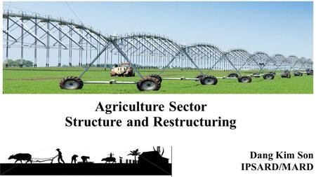 Agriculture Sector Structure and Restructuring Dang Kim Son IPSARD/MARD 1.