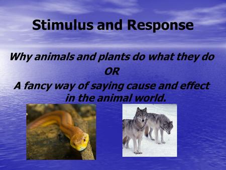 Stimulus and Response Why animals and plants do what they do OR