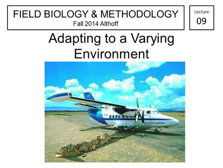 Adapting to a Varying Environment FIELD BIOLOGY & METHODOLOGY Fall 2014 Althoff Lecture 09.