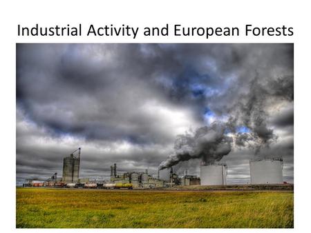 Industrial Activity and European Forests. Industrial activity is a primary cause of acid rain. The acid in acid rain comes from 2 types of air pollutants: