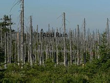 Acid Rain Picture: wikipedia.org. What is acid rain? Rain with a pH less than 5.0 Epa.gov.