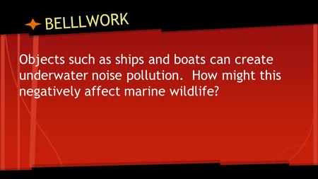 BELLLWORK Objects such as ships and boats can create underwater noise pollution. How might this negatively affect marine wildlife?
