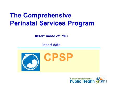 The Comprehensive Perinatal Services Program