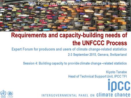 Task Force on National Greenhouse Gas Inventories Requirements and capacity-building needs of the UNFCCC Process Expert Forum for producers and users of.