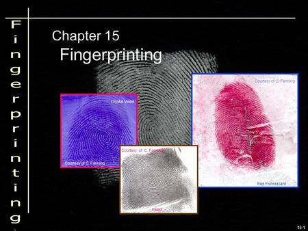 15-1 Fingerprinting Chapter 15 Crystal Violet Red Fluorescent Inked Courtesy of C. Fanning.