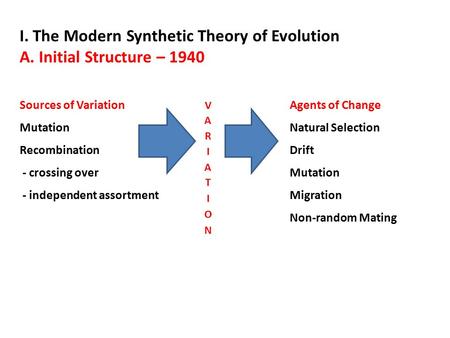I. The Modern Synthetic Theory of Evolution A. Initial Structure – 1940 Sources of VariationAgents of Change MutationNatural Selection RecombinationDrift.