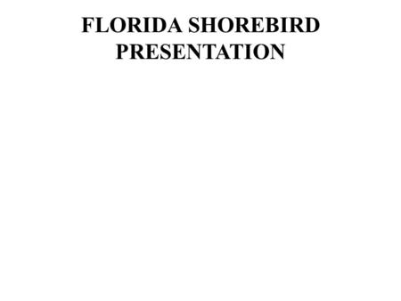FLORIDA SHOREBIRD PRESENTATION. 2/23/2009 Janell Brush - Florida Fish and Wildlife Conservation Commission.