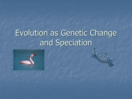 Evolution as Genetic Change and Speciation. A Population’s Gene Pool A gene pool is all the alleles available in all of the individuals in a population.