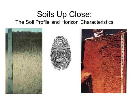 Soils Up Close: The Soil Profile and Horizon Characteristics.