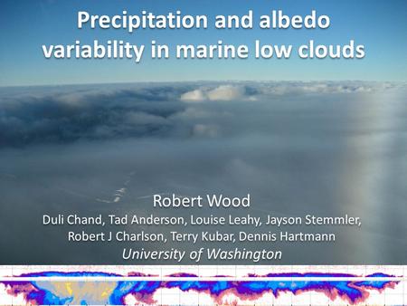 Precipitation and albedo variability in marine low clouds
