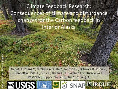 Climate Feedback Research: Consequences of climate and disturbance changes for the Carbon feedback in Interior Alaska Patrick Endres, AK photographics.
