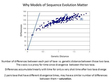 Why Models of Sequence Evolution Matter Number of differences between each pair of taxa vs. genetic distance between those two taxa. The x-axis is a proxy.