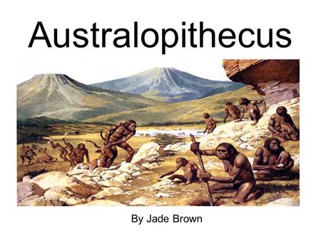 Australopithecus By Jade Brown. Australopithecus remains were first found in1928 by Professor Raymond Dart.