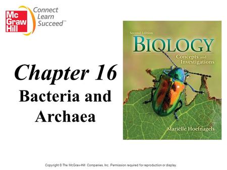 Copyright © The McGraw-Hill Companies, Inc. Permission required for reproduction or display. Chapter 16 Bacteria and Archaea.