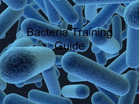 Bacteria Training Guide
