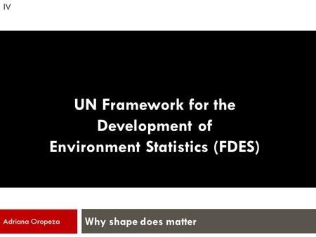 UN Framework for the Development of Environment Statistics (FDES) Why shape does matter Adriana Oropeza IV.