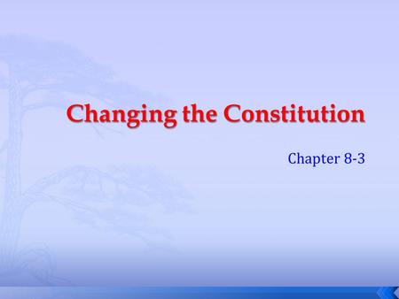 Chapter 8-3. Questions  What does the term mean to amend?  Why didn’t the Continental Congress not include the rights of all people into the Constitution.