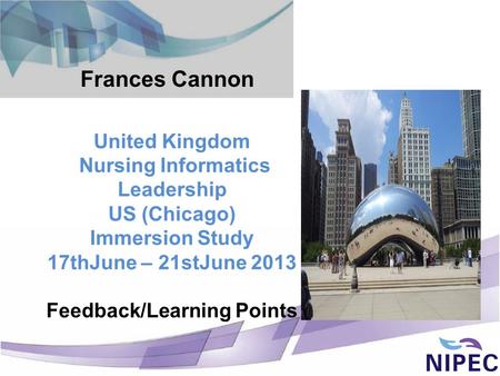 United Kingdom Nursing Informatics Leadership US (Chicago) Immersion Study 17thJune – 21stJune 2013 Feedback/Learning Points Frances Cannon.