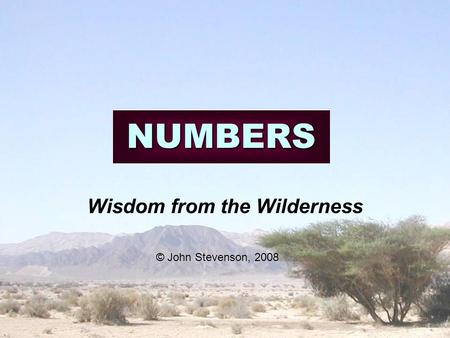 NUMBERS Wisdom from the Wilderness © John Stevenson, 2008.