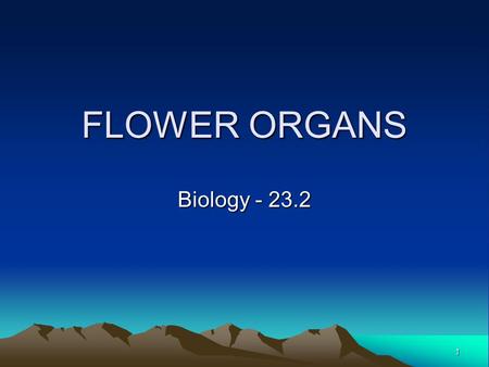 FLOWER ORGANS Biology - 23.2.