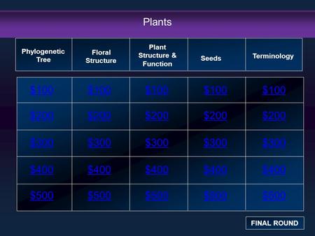 Plants $100 $200 $300 $400 $500 $100$100$100 $200 $300 $400 $500 Phylogenetic Tree FINAL ROUND Floral Structure Plant Structure & Function Seeds Terminology.