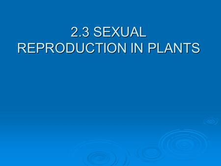 2.3 SEXUAL REPRODUCTION IN PLANTS. Recall: Many plants can reproduce asexually.  Plants also reproduce sexually.  The products of sexual reproduction.