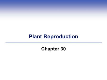 Plant Reproduction Chapter 30. Reproductive Structures of Flowering Plants  Flowers are the reproductive shoots of angiosperm sporophytes  Spores that.
