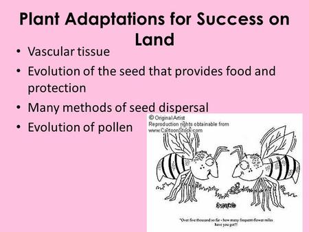 Plant Adaptations for Success on Land Vascular tissue Evolution of the seed that provides food and protection Many methods of seed dispersal Evolution.
