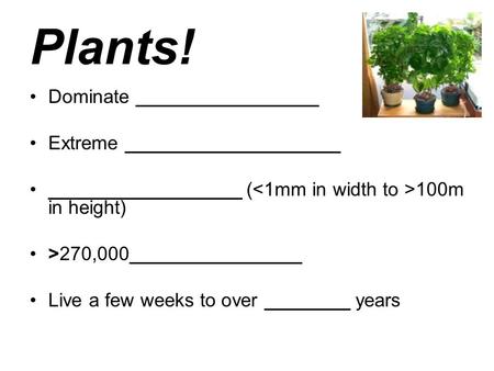 Plants! Dominate _________________ Extreme ____________________ __________________ ( 100m in height) >270,000________________ Live a few weeks to over.