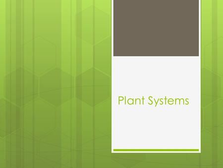 Plant Systems. Plant Tissues and Organs  Like animal cells plant cells can become specialized and form tissues with specific tasks  Healthy plants are.