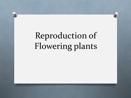 Reproduction of Flowering plants