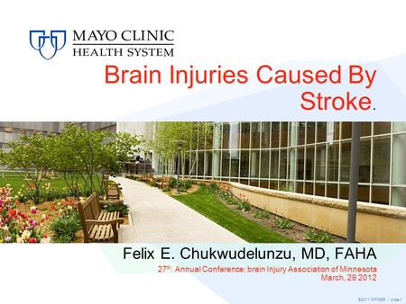 Brain Injuries Caused By Stroke.