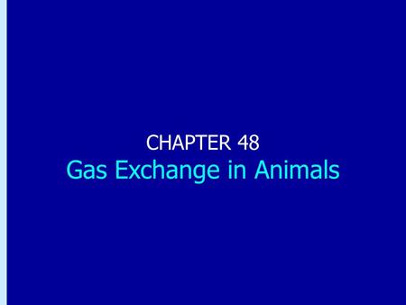Chapter 48: Gas Exchange in Animals CHAPTER 48 Gas Exchange in Animals.