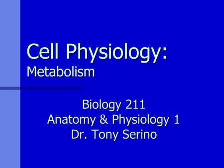 Cell Physiology: Metabolism Biology 211 Anatomy & Physiology 1 Dr. Tony Serino.